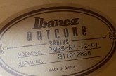 Ibanez PM-35 Pet Metheny-8.jpg